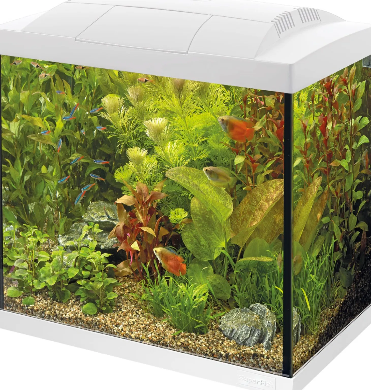 SuperFish aquarium Start 50 Tropical Kit wit 40 L