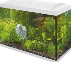 SuperFish aquarium Start 100 Tropical Kit wit 90 L