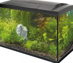 SuperFish aquarium Start 150 Tropical Kit zwart 146 L
