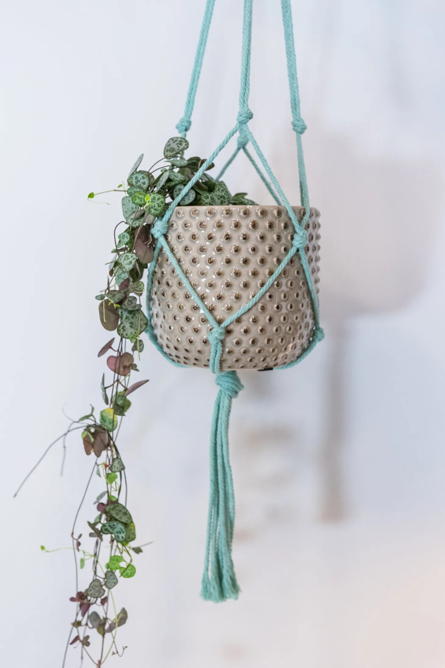 TS plantenhanger macramé mint H 90 cm