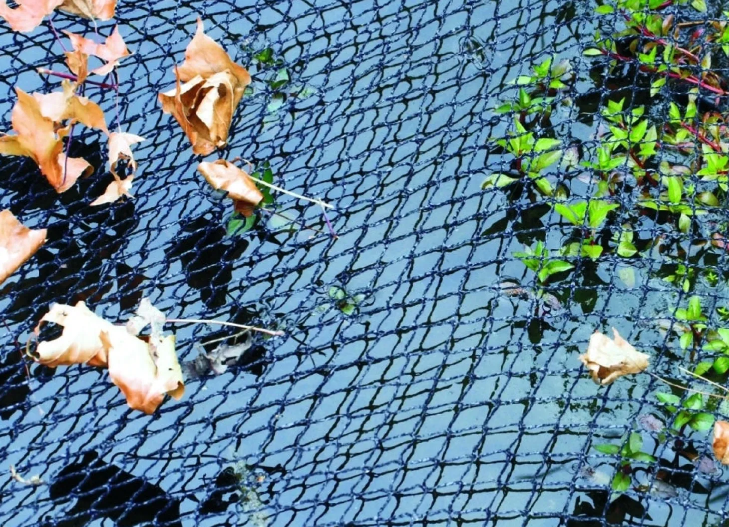 VT afdeknet met grondpennen 6 x 3 m