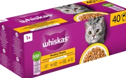 Whiskas kattenvoer in gelei adult gevogelte 85 g 40 stuk