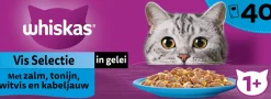 Whiskas kattenvoer in gelei Vis Selectie vis adult 85 g 40 stuks