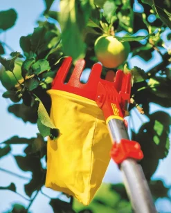 WOLF-Garten fruitplukker Multistar VARIO RG-M 35 cm